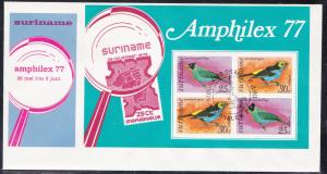 Suriname # C60a, Birds, Amphilex 77 Special Issue Sheet