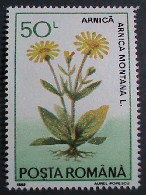​ROMANIA-1993-SC#3804-9 MEDICINAL PLANTS & FLOWERS -MNH  SET VERY FINE
