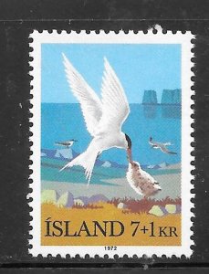 Iceland #B23 MNH Single