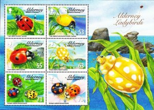 Alderney 2014 MNH Stamps Souvenir Sheet Scott 489a Insects Ladybirds