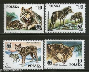 Poland 1985 WWF Gray Wolf Wildlife Animal Fauna 4v Sc 2678-81 MNH # 026