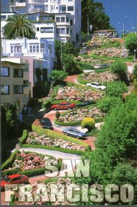 POSTCARD California - San Francisco - Lombard Street - Unaddressed