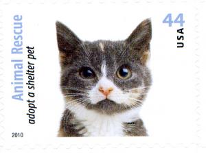 US 2010 Sc #4456 -White & Tan Cat - MNH**  single