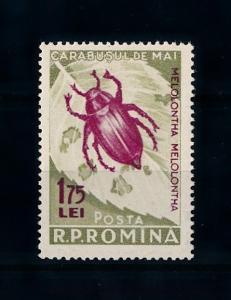 [71498] Romania 1956 Insect Beetles Color Variation From Set MNH