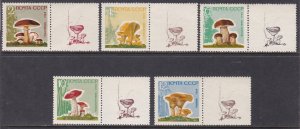 Russia, Mushrooms, lacquer paper, with labels MNH / 1964