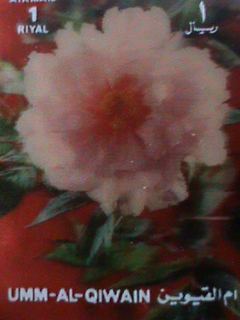 ​UMM AL QIWAIN-COLORFUL LOVELY FLOWEERS-MNH 3-D STAMP- HARD TO FIND-LAST ONE