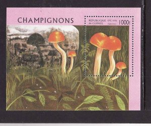 Guinea-Sc#1381-unused NH sheet-Mushrooms-Fungi-1996-