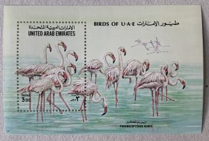 United Arab Emirates 1994 Flamingos MS, MNH. Scott 475, CV $8.00. Mi BL 14