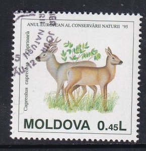 Moldova #159 cancelled 1995 European nature conservation 45b