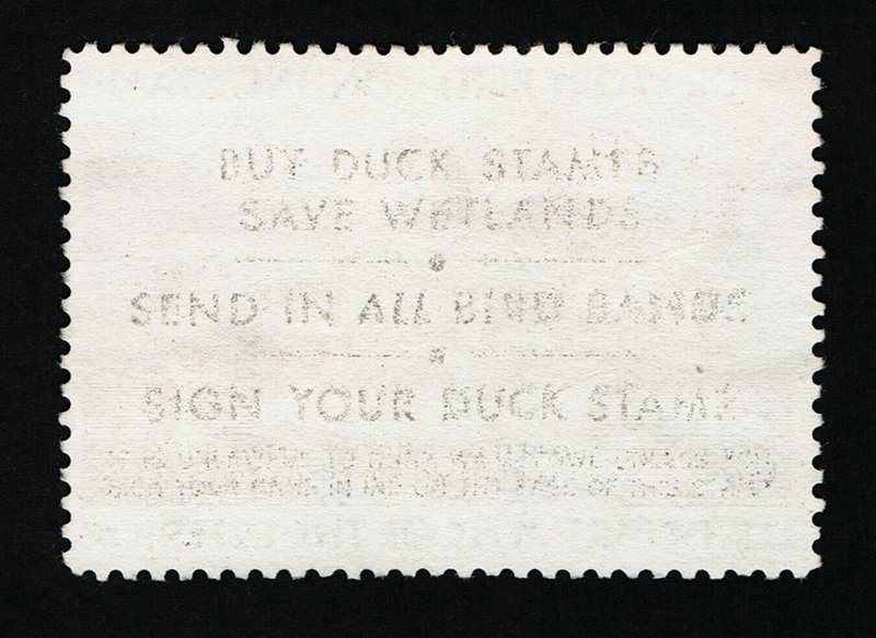 GENUINE SCOTT #RW43 XF MINT 1976 FEDERAL DUCK STAMP - CANADA GEESE