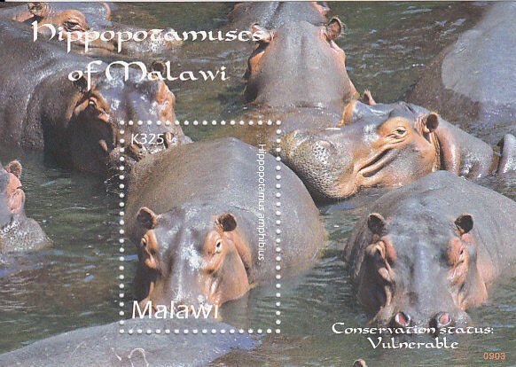 Malawi MNH Sc 748 Souvenir sheet Value $ 4.75 Hippopotamus