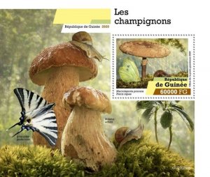 Guinea - 2020 Mushrooms & Butterflies - Stamp Souvenir Sheet - GU200208b