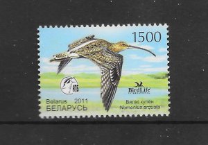 BIRDS- BELARUS #762 MNH