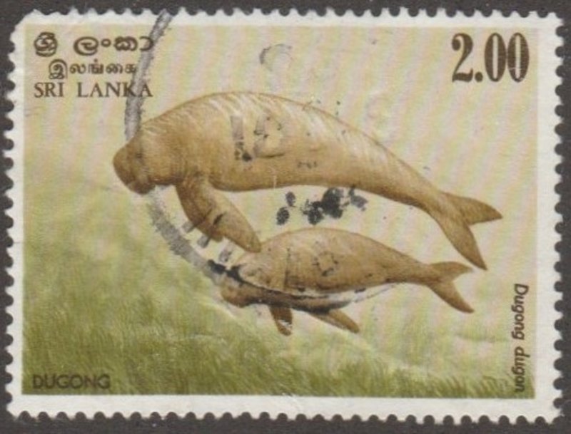 Sri Lanka, Scott# 659, used, manatee, mother and calf, Topical,  SEA,   #M518