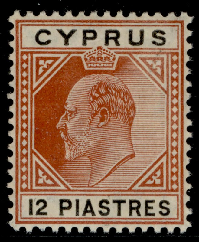 CYPRUS EDVII SG69, 12pi chestnut and black, NH MINT. Cat £38.