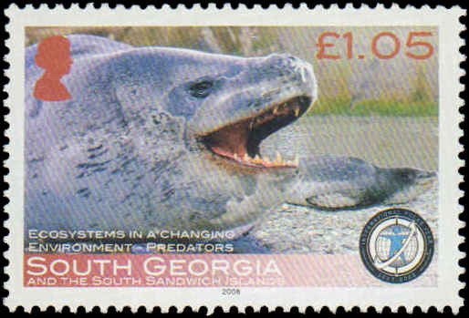 South Georgia #359-362, Complete Set(4), 2008, Polar, Animals, Marine Life, NH