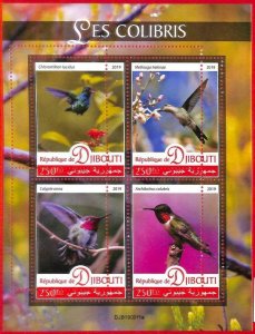 A1773 - DJIBOUTI, ERROR: MISSPERF, MINIATURE SHEET - 2019, Birds, Hummingbirds