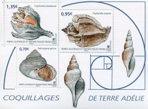 FSAT TAAF 2019 MNH Seashells Adelie Land 3v M/S Coquillages Shells Marine Stamps