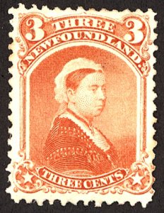 Newfoundland #33 MINT No gum