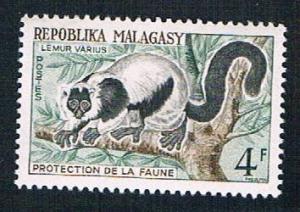 Madagascar 322 MLH Monkey (BP14424)