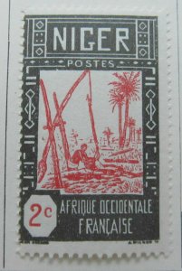 France Africa French Colony NIGER 1926-40 2c MH* A4P56F48-