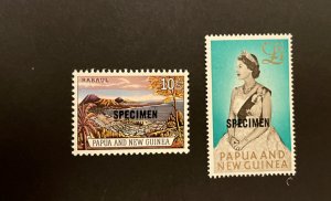 Papua New Guinea: 1963, definitive top values overprinted Specimen SG 44S/45S.