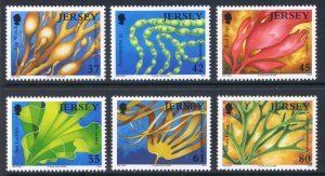 Jersey 2009 Marine Life set SG1444/1448 Unmounted Mint 