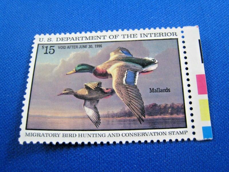 UNITED STATES  -  DUCK STAMP  -  SCOTT # RW62     MNH  