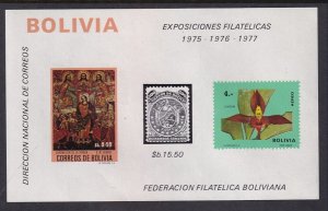 Bolivia Footnoted Souvenir Sheet MNH VF