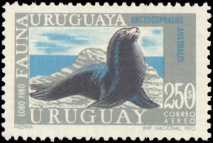 Uruguay #C361-C368, Complete Set(7), 1970-1971, Animals, Birds, Never Hinged