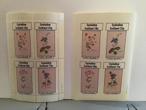 Eynhallow  Scotland Plants Flowers Chicory   MNH  stamps  sheets R24501