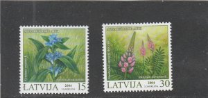 Latvia  Scott#  589-590  MNH  (2004 Endangered Plants)