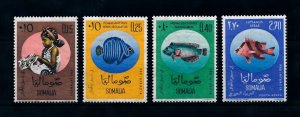 [99810] Somalia 1962 Marine life fish  MNH