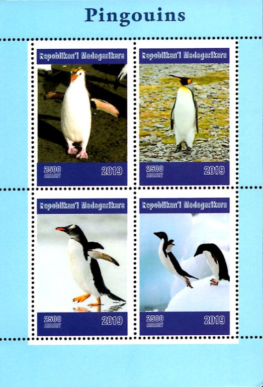 Madagascar 2019 Penguin Birds 4v MNH S/S. (#038)