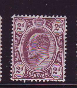 Transvaal Sc283 1910 2d Edward VII stamp mint