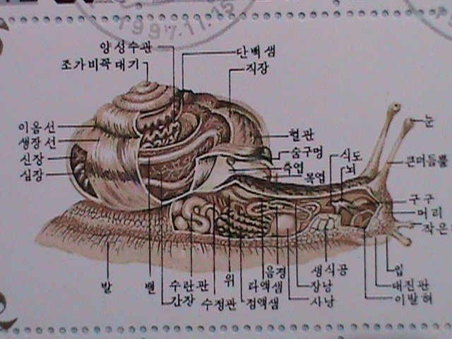 ​KOREA 1997 SC#3681d  LOVELY BEAUTIFUL  SNAILS-CTO SHEET-VERY FINE