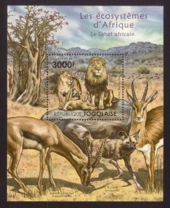 Togo - New Issue - MNH African Sahel Animals (S/S)