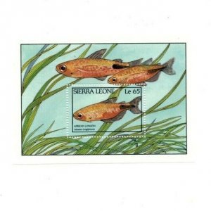 Sierra Leone 1988 - African Longfin Fish - Souvenir Sheet - Scott 963 - MNH