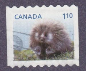 2605 Porcupines