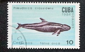 CUBA Sc# 2681 MARINE MAMMALS ocean sea life 10c  1984  used cto