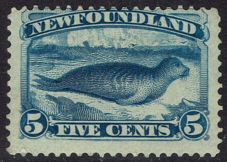 NEWFOUNDLAND 1894 SEAL 5C