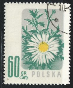 Poland #782 60g Flower Carline Thistle - CTO