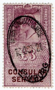 (I.B) Edward VII Revenue : Consular Service £3 (Hamburg)