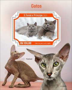 Sao Tome & Principe 2021 MNH Cats Stamps British Shorthair Cat Breed Pets 1v S/S