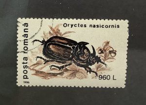 Romania 1996 Scott 4088  CTO -  960 l,  insects