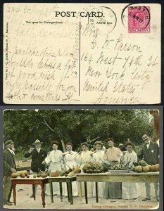 Bahamas 1909 Colour Postcard to the US