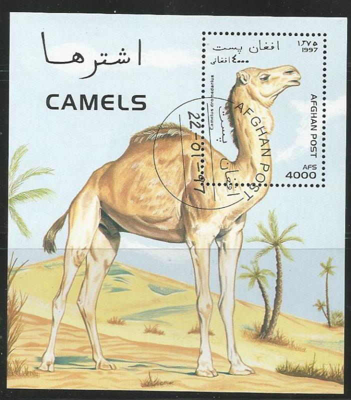 AFGHANISTAN UNLISTED, USED SOUVENIR SHEET, CAMELS 1997
