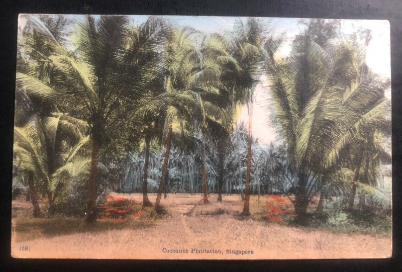 1918 Singapore Strait Settlements Postcard cover to Zurich Switzerland Coconut