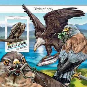 SIERRA LEONE - 2018 - Birds of Prey - Perf Souv Sheet - MNH