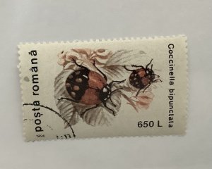 Romania 1996 Scott 4085  CTO -  650 l,  insects